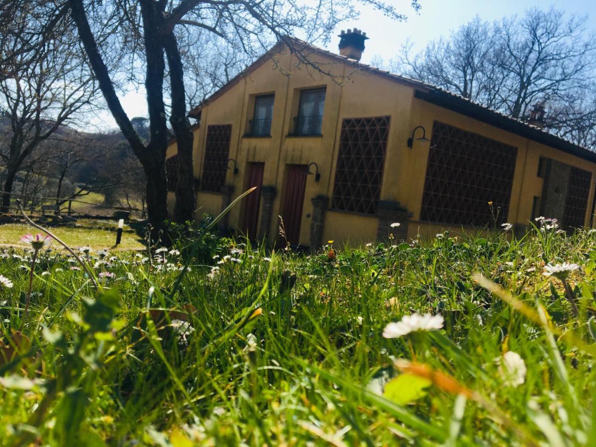 Viva House Montaione Exterior foto